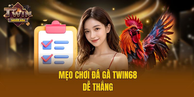 Mẹo chơi đá gà Twin68 dễ thắng
